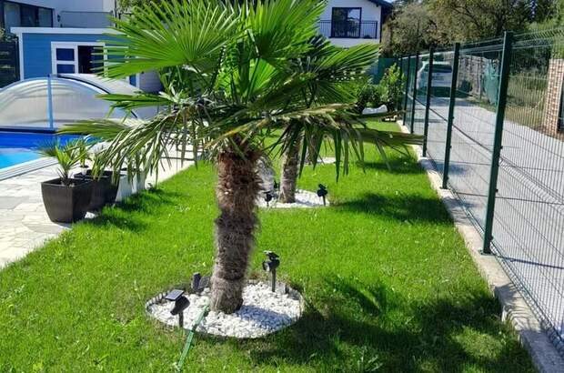 Einfamilienhaus kaufen in 2230 Gänserndorf (Bild 3)