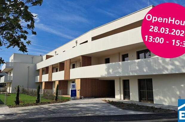 Terrassenwohnung kaufen in 7100 Neusiedl (Bild 1)