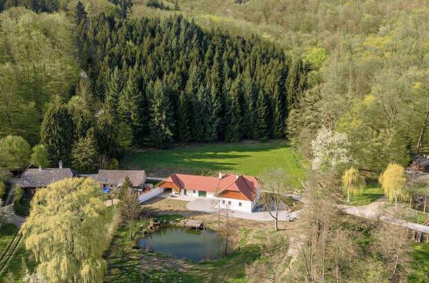 Haus mieten in 3386 Hafnerbach (Bild 4)