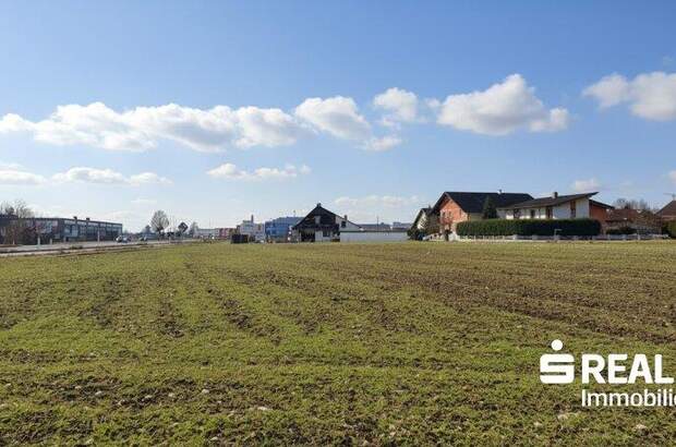 Grundstück kaufen in 4614 Marchtrenk (Bild 4)