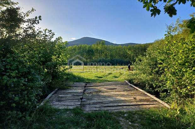 Gewerbeobjekt kaufen in 2732 Willendorf (Bild 4)