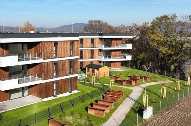 Wohnung mieten in 4030 Linz