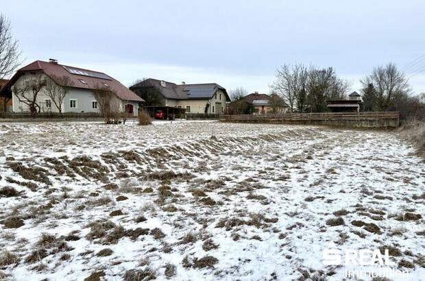 Grundstück kaufen in 4070 Pupping (Bild 4)