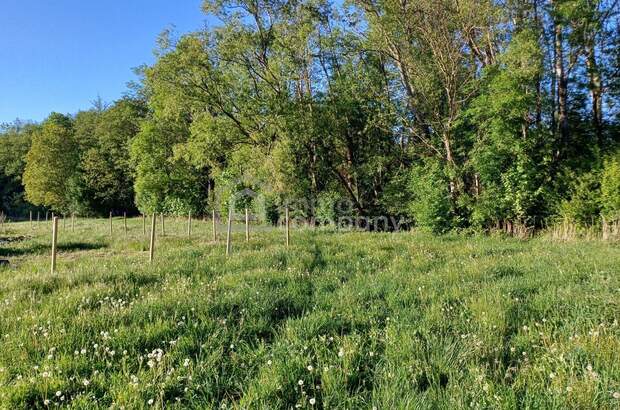 Gewerbeobjekt kaufen in 2732 Willendorf (Bild 2)