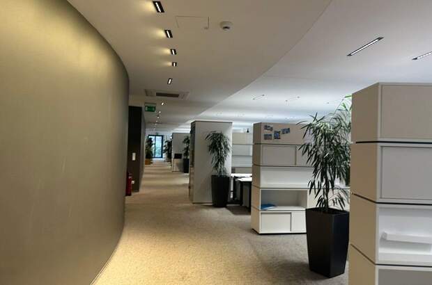 Gewerbeobjekt mieten in 1190 Wien (Bild 3)