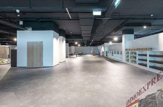 Anlageobjekt kaufen in 1230 Wien (Bild 2)