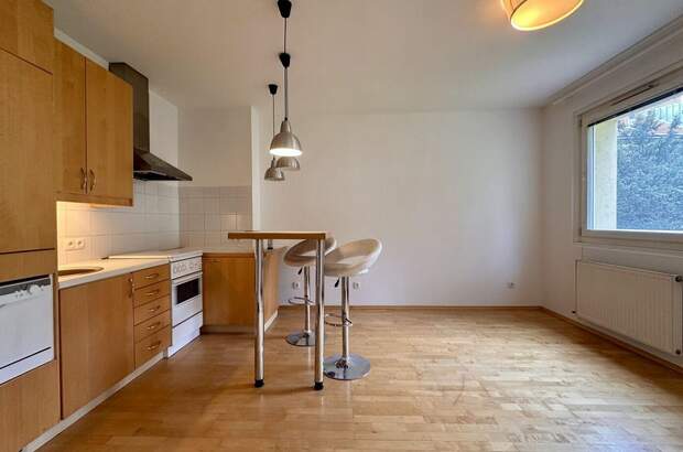 Mietwohnung in 1130 Wien (Bild 2)