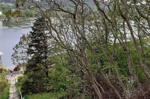 Haus mit Garten mieten in 9220 Velden (Bild 1)