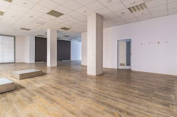 Gewerbeobjekt mieten in 4020 Linz (Bild 3)