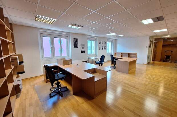 Gewerbeobjekt mieten in 1100 Wien (Bild 2)