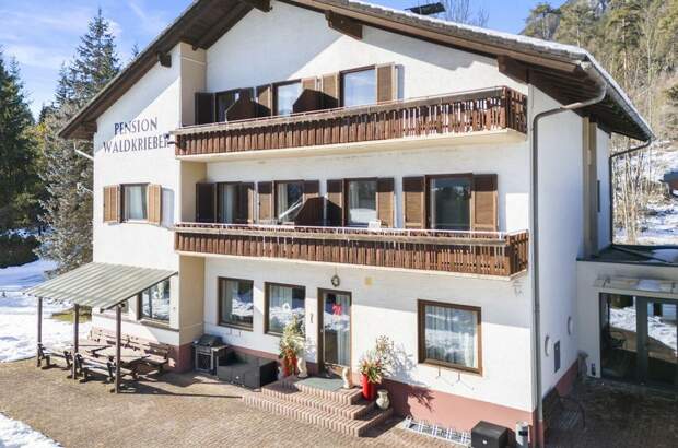 Anlageobjekt kaufen in 9620 Presseggersee (Bild 1)