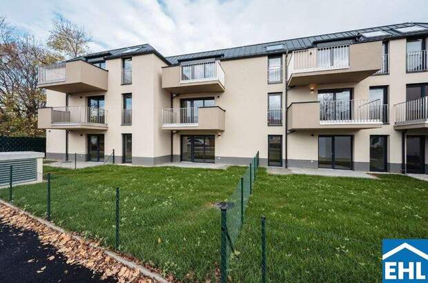 Terrassenwohnung kaufen in 2103 Langenzersdorf (Bild 4)