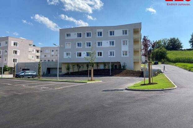 Halle / Lager / Produktion kaufen in 4222 Sankt Georgen (Bild 1)