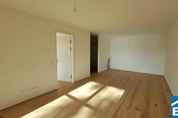 Terrassenwohnung kaufen in 7100 Neusiedl (Bild 5)