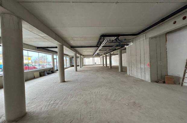 Gewerbeobjekt mieten in 8230 Hartberg (Bild 5)