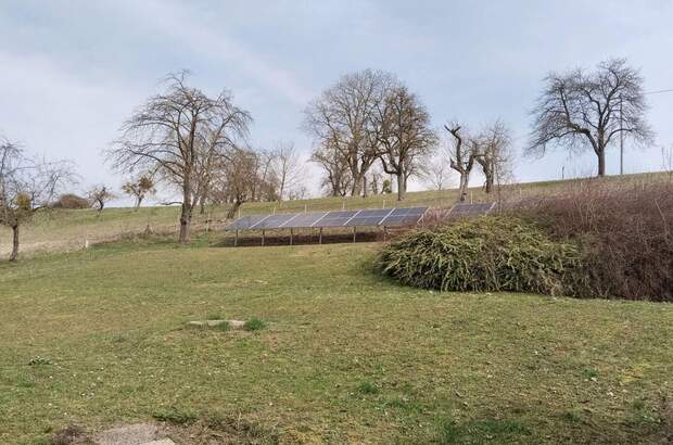 Grundstück kaufen in 4502 Sankt Marien (Bild 4)