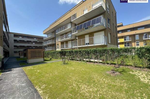 Terrassenwohnung kaufen in 8401 Kalsdorf (Bild 1)