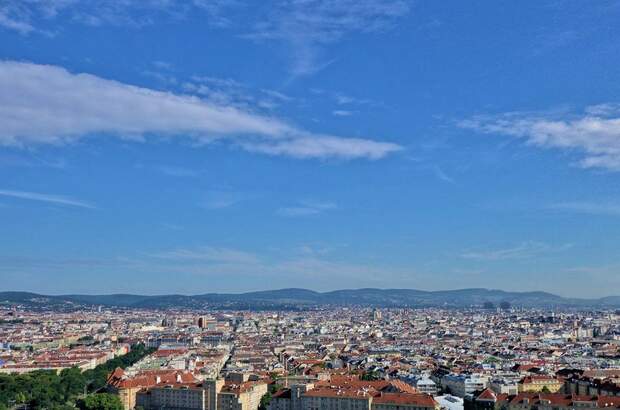 Wohnung mieten in 1100 Wien (Bild 1)