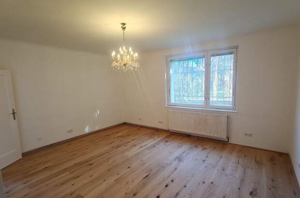 Mietwohnung in 1130 Wien (Bild 1)