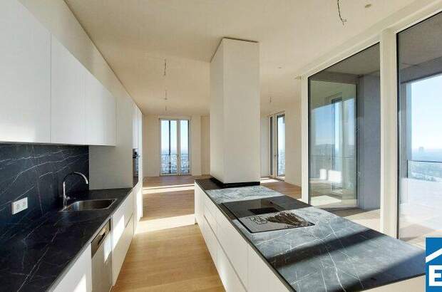 Terrassenwohnung mieten in 1220 Wien (Bild 1)