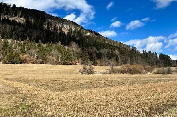 Gewerbeobjekt kaufen in 8850 Sankt Egidi (Bild 2)