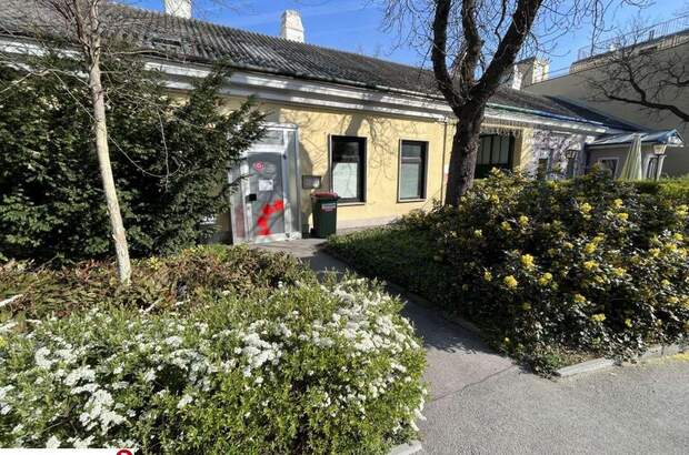 Gewerbeobjekt mieten in 2340 Mödling (Bild 1)