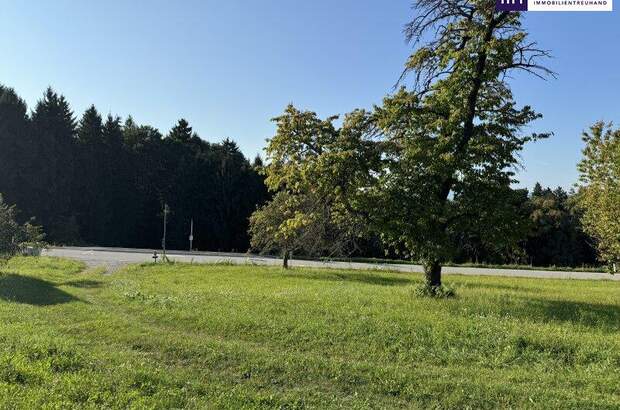 Grundstück kaufen in 8074 Grambach (Bild 5)