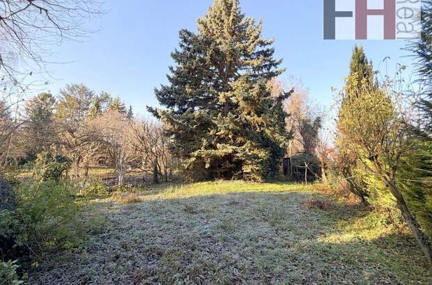 Haus kaufen in 2102 Bisamberg (Bild 2)