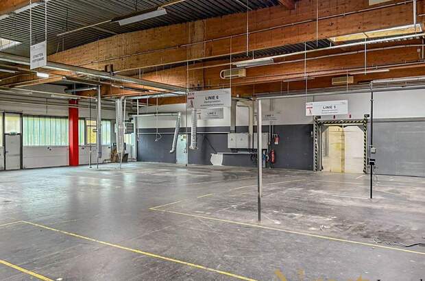 Gewerbeobjekt mieten in 4600 Thalheim (Bild 3)