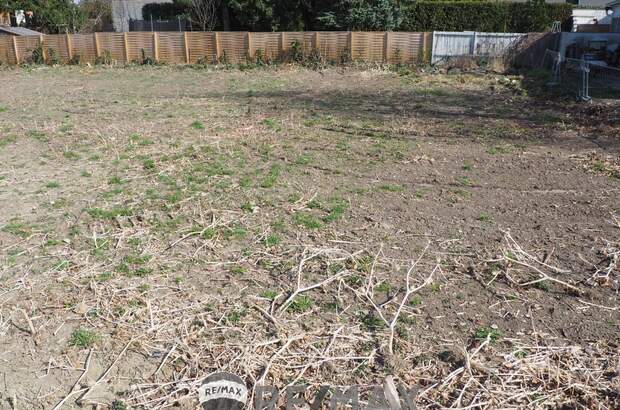 Grundstück kaufen in 3433 Königstetten (Bild 1)