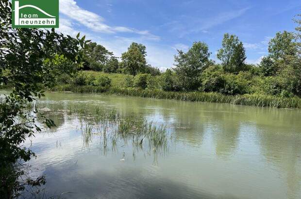 Terrassenwohnung kaufen in 1210 Wien (Bild 5)