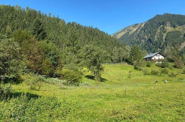 Grundstück kaufen in 8953 Donnersbachwald (Bild 2)