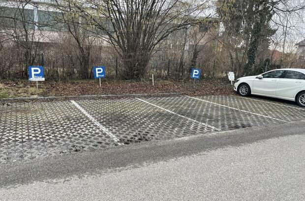 Immobilie kaufen in 4600 Wels (Bild 4)