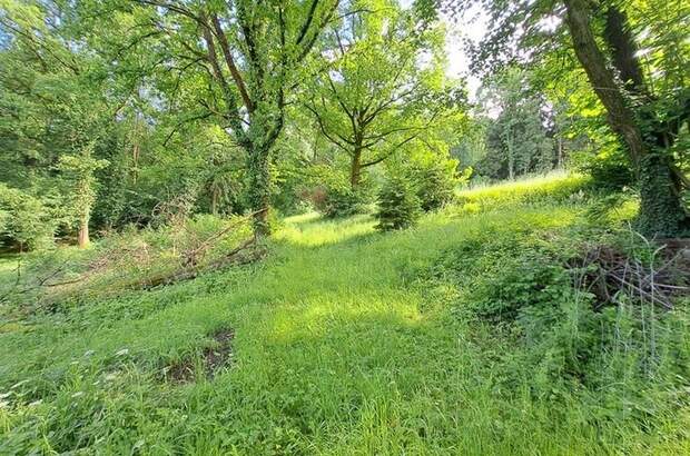 Gewerbeobjekt kaufen in 8582 Rosental (Bild 5)