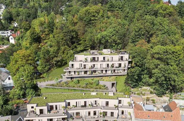 Terrassenwohnung kaufen in 2391 Kaltenleutgeben (Bild 1)