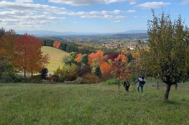 Grundstück kaufen in 7435 Unterkohlstätten (Bild 2)