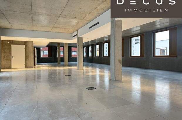Büro / Praxis mieten in 1230 Wien (Bild 3)