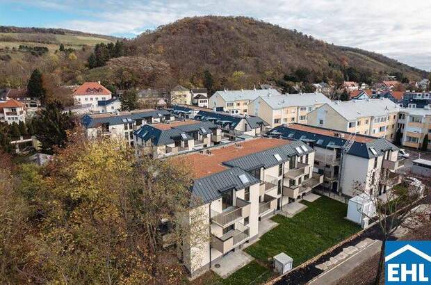 Terrassenwohnung kaufen in 2103 Langenzersdorf (Bild 1)