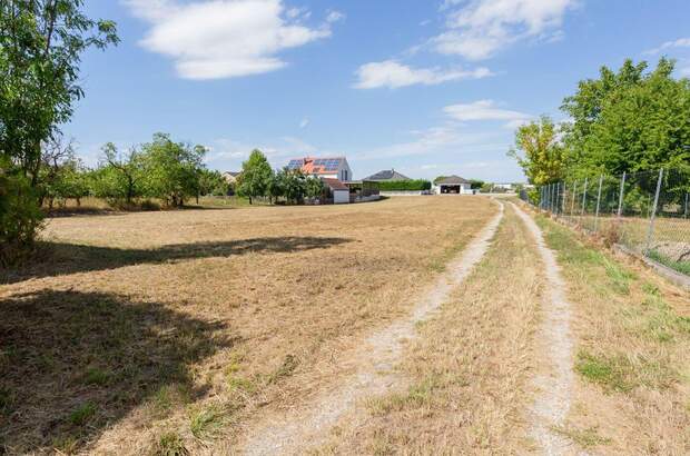 Grundstück kaufen in 3484 Jettsdorf (Bild 3)