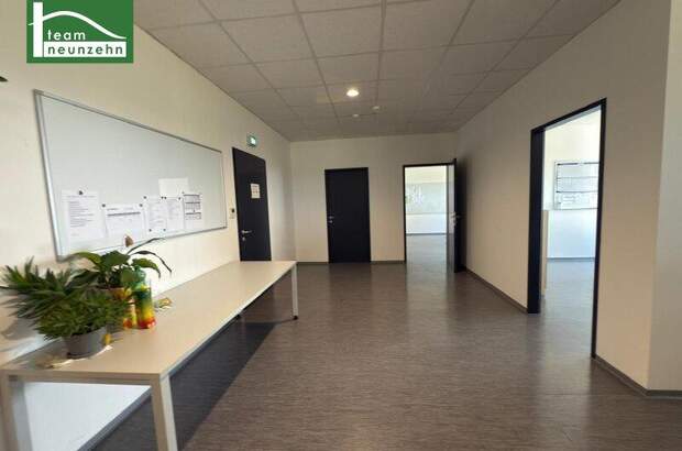 Büro / Praxis mieten in 2326 Maria (Bild 4)