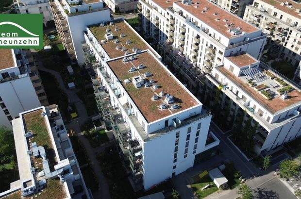 Einzelhandel mieten in 1220 Wien (Bild 5)