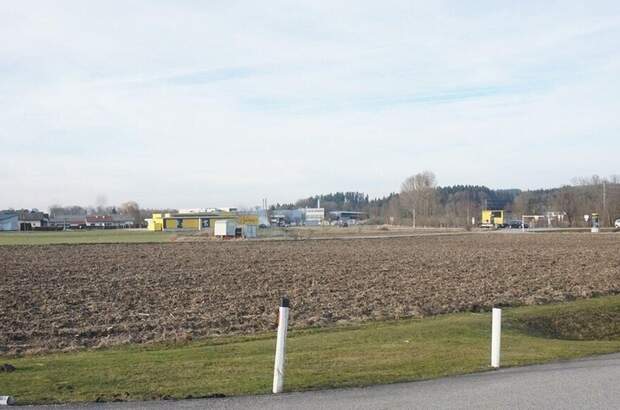 Gewerbeobjekt kaufen in 4971 Aurolzmünster (Bild 2)