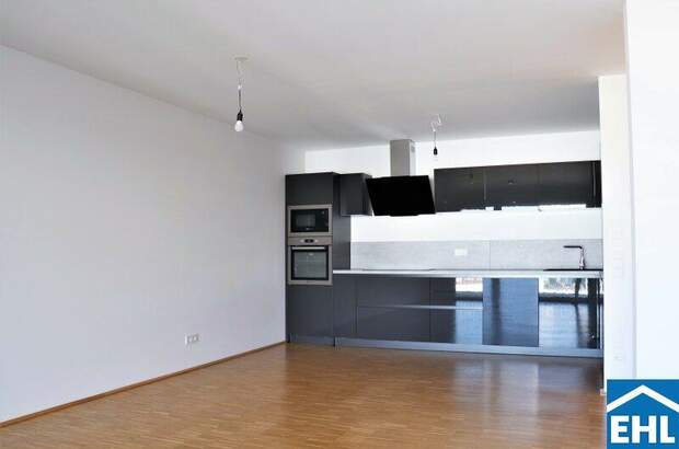 Terrassenwohnung mieten in 1230 Wien (Bild 3)