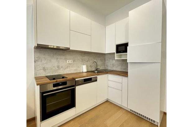 Terrassenwohnung mieten in 1050 Wien (Bild 2)