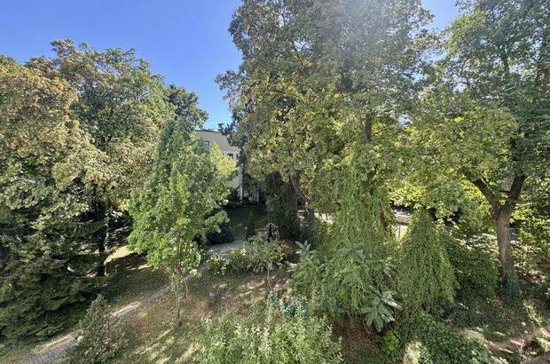 Wohnung kaufen in 1190 Wien (Bild 4)