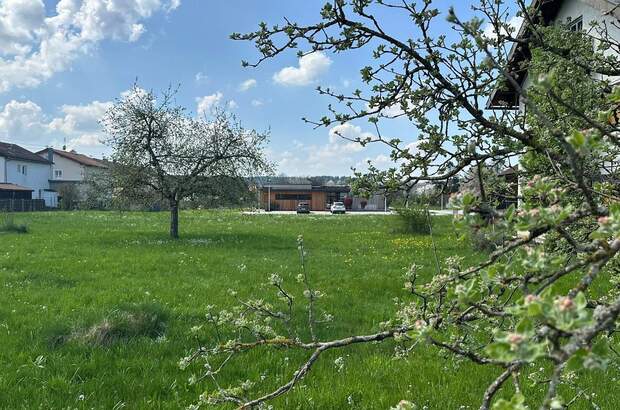 Grundstück kaufen in 5231 Schalchen (Bild 1)