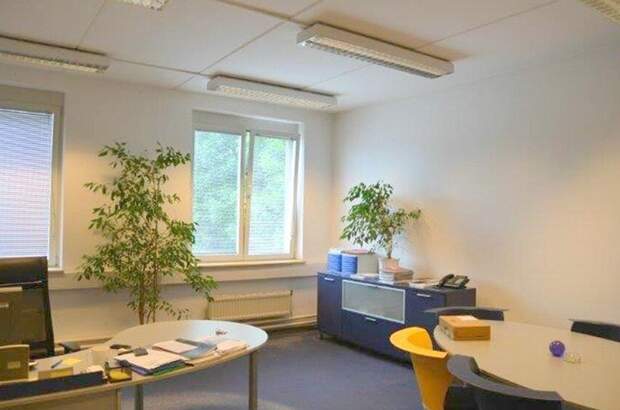 Gewerbeobjekt mieten in 8055 Graz (Bild 4)