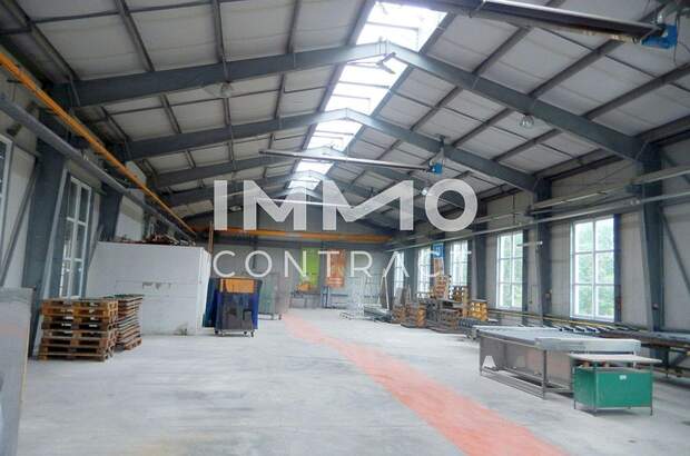 Gewerbeobjekt mieten in 3322 Viehdorf (Bild 3)