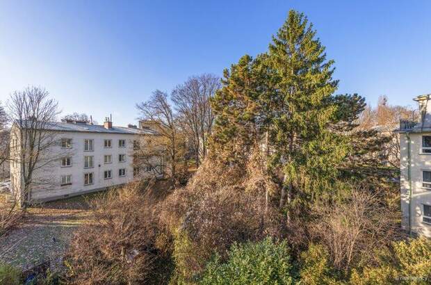 Terrassenwohnung mieten in 1190 Wien (Bild 4)