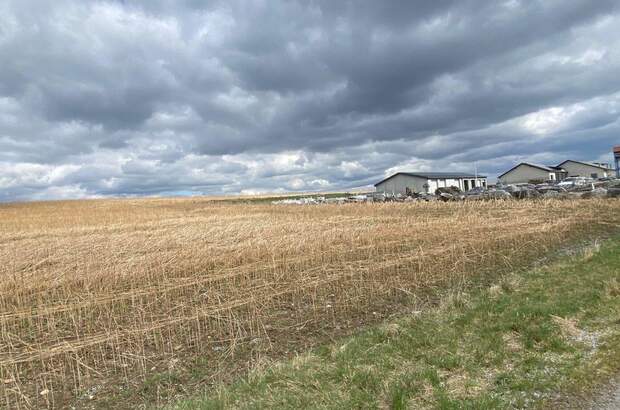 Gewerbeobjekt kaufen in 3613 Els (Bild 5)